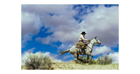 <i>Epic Western No. 9.,</i>  2010, by Jim Krantz