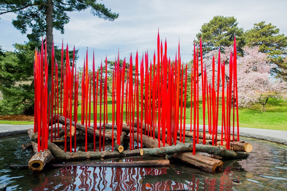 Dale Chihuly Returns to the New York Botanical Garden