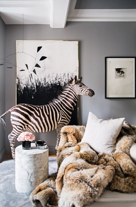 Why These Style Setters and Design Lovers Never Tire of Taxidermy