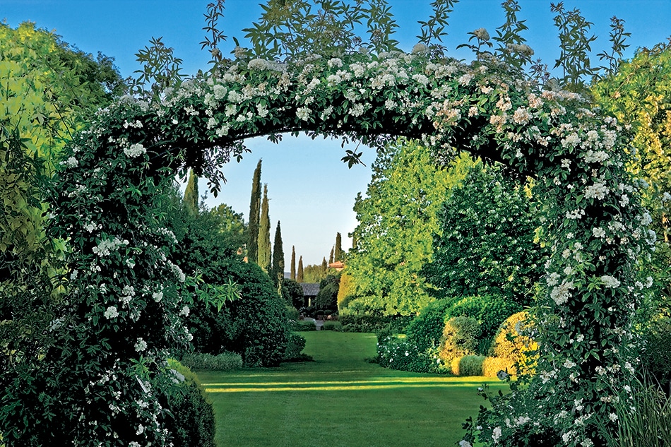 Flash Forward to Spring with These New Garden Books