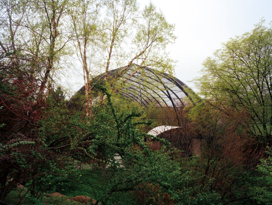 Jade Doskow, St. Louis 1904 World's Fair, "Louisiana Purchase Exposition," Flight Cage, 2013