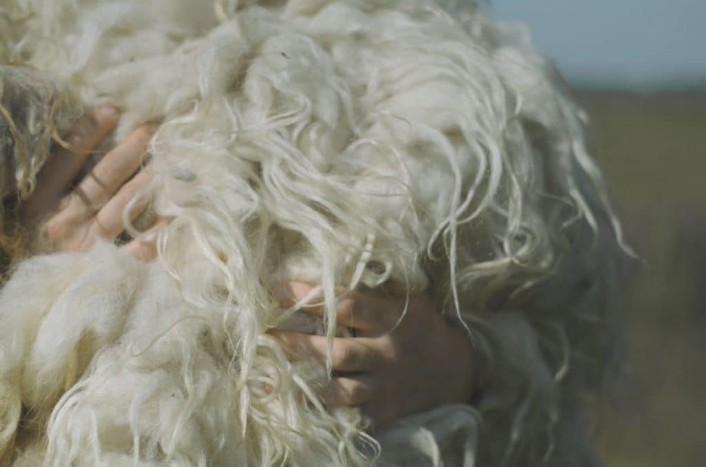 Dutch textile designer Claudy Jongstra Drenthe Heath wool Netherlands Holland