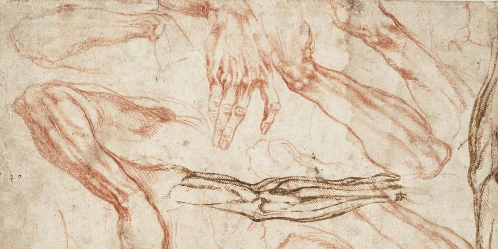 Michelangelo  Arms and Hands Study  TuttArt  Masterpieces