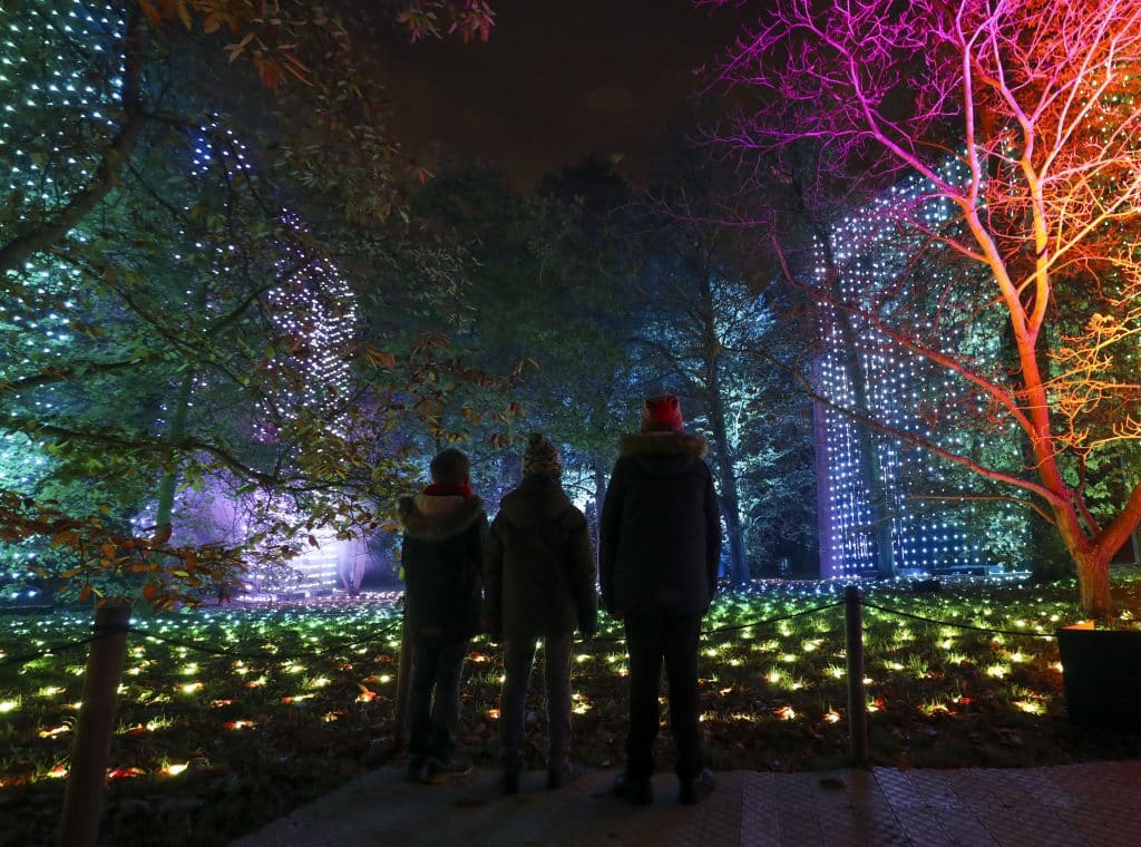 Children watching the Christmastime lights at Kew Gardens, in London.