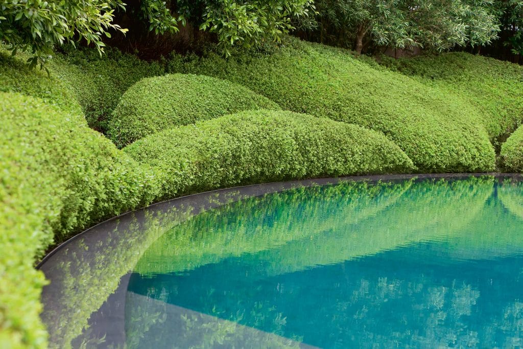 Escallonia shrubs border a crescent-shaped basalt pool in garden designed by Fernando Caruncho in Auckland, New Zealand