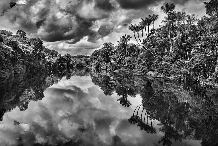 Sebastião Salgado: Jaú River, Jaú National State Park, 2019