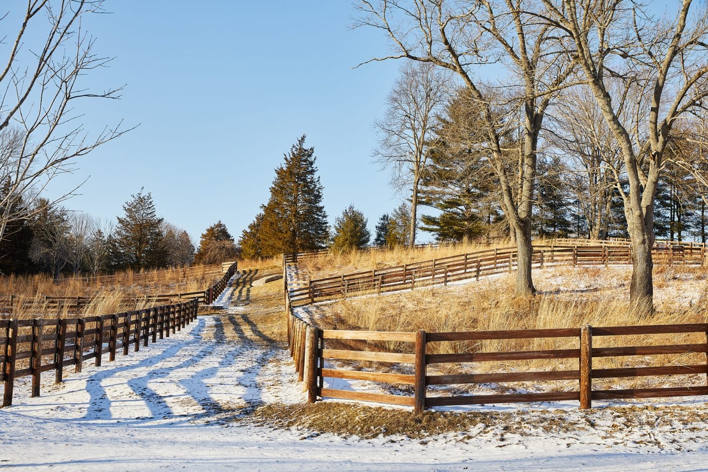 A photograph of snowy ground at Grace Farms