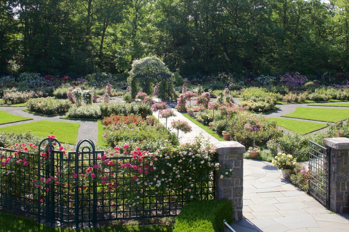 The Peggy Rockefeller Rose Garden at the New York Botanical Garden