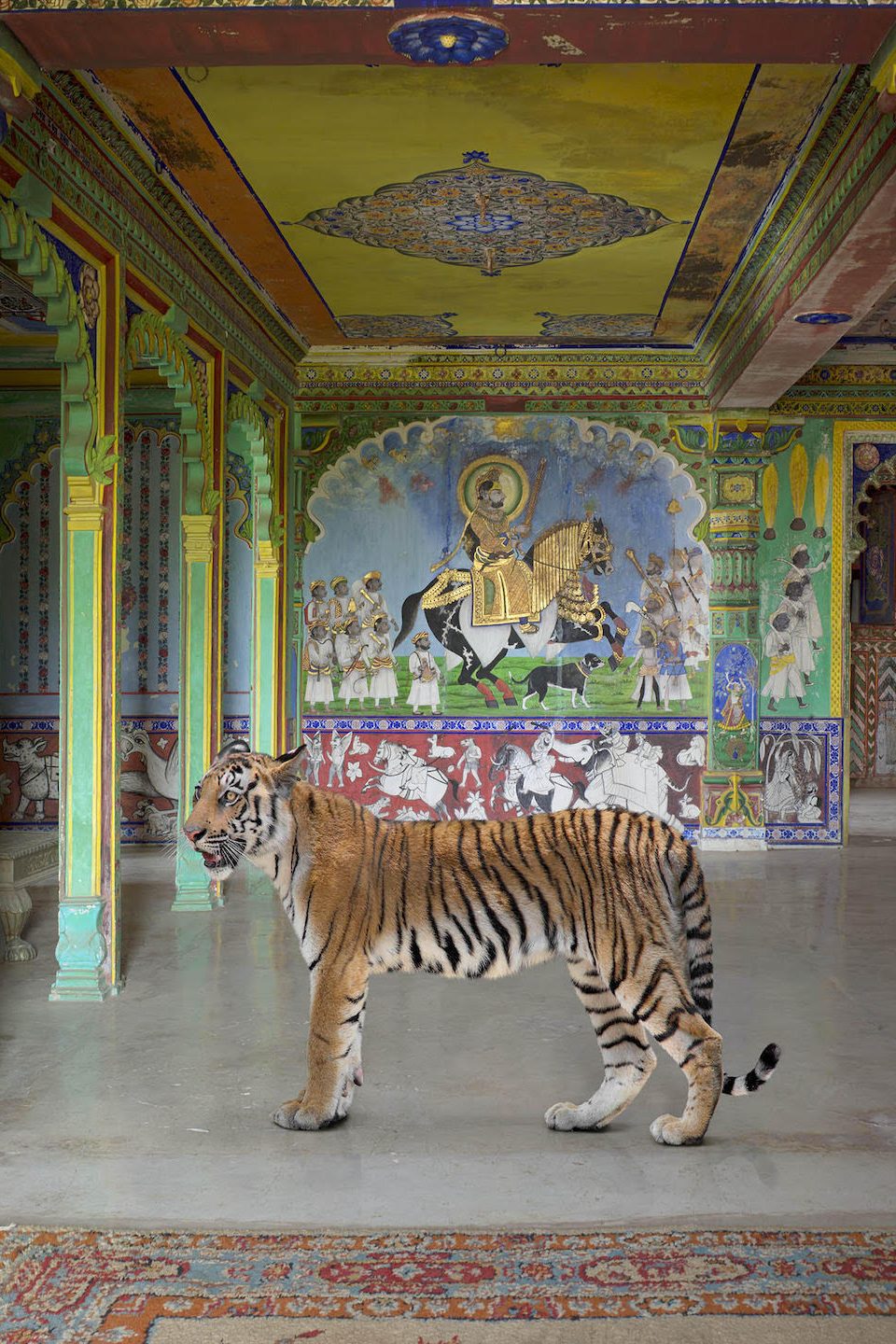 In Karen Knorr’s Sumptuous Photos, Exotic Animals Appear in Opulent Palaces