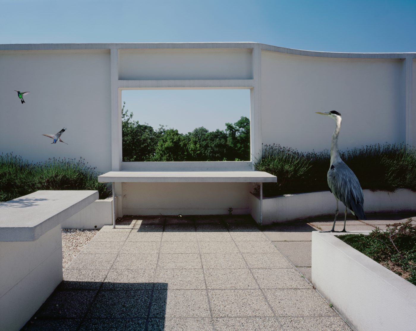 Karen Knorr: Rooftop, photographed atop Le Corbusier’s Villa Savoye, is part of the “Fables,” 2003–8, series.