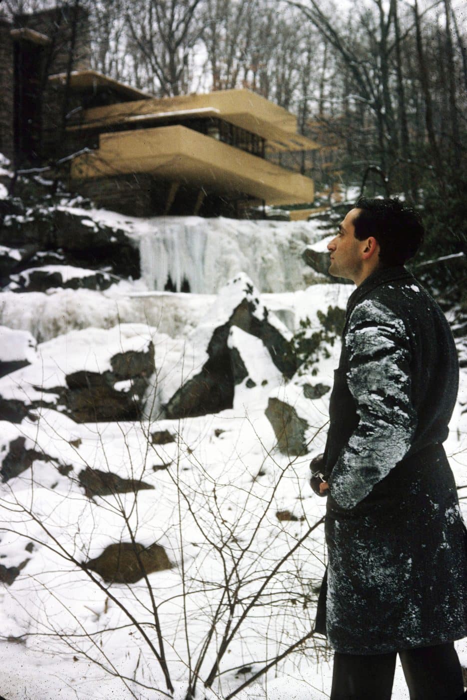 Stern in the snow at Frank Lloyd Wright's Fallingwater in southwestern Pennsylvania