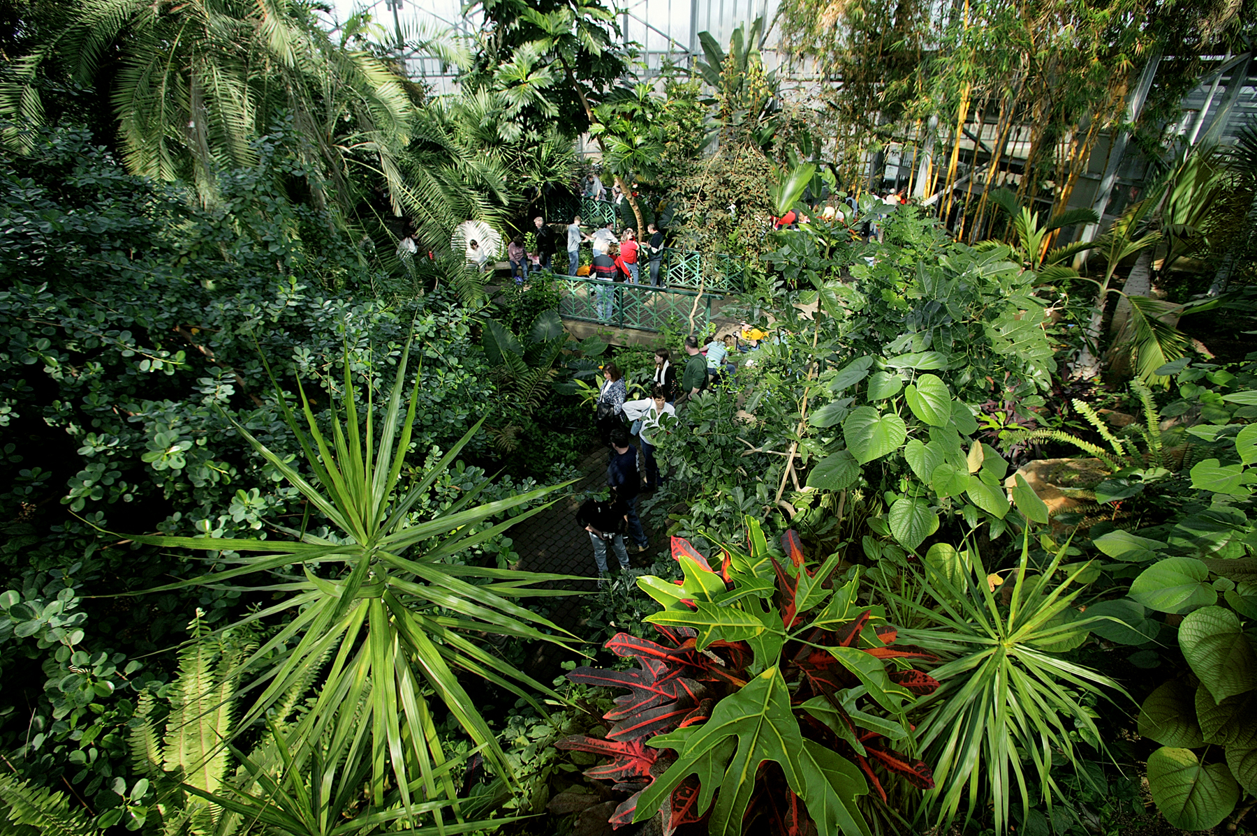 Frederik Meijier Gardens and Sculpture Park Grand Rapids, Michigan Tropical Conservatory