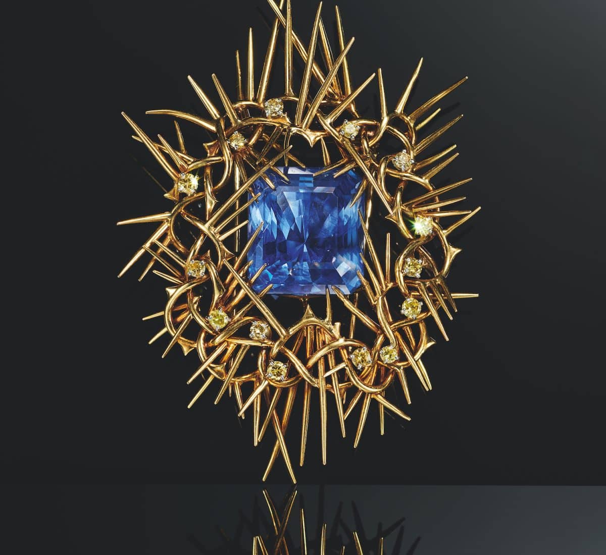 Jean Schlumberger for Tiffany & Co. brooch