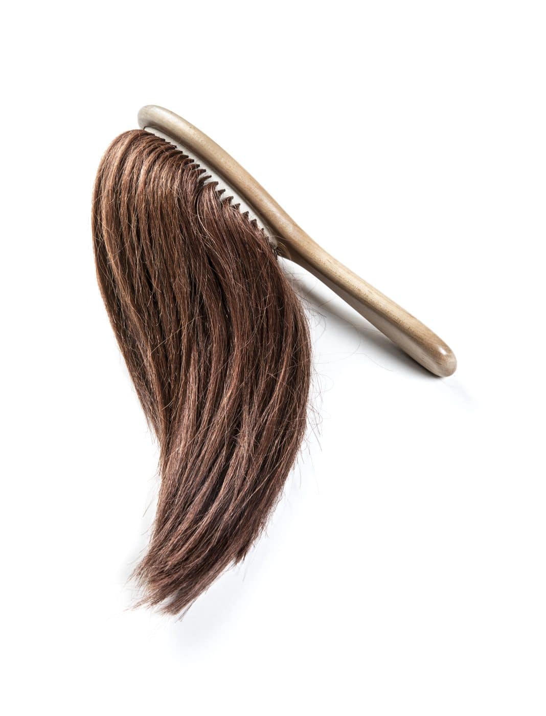 A hairbrush with long brown hair instead of bristles