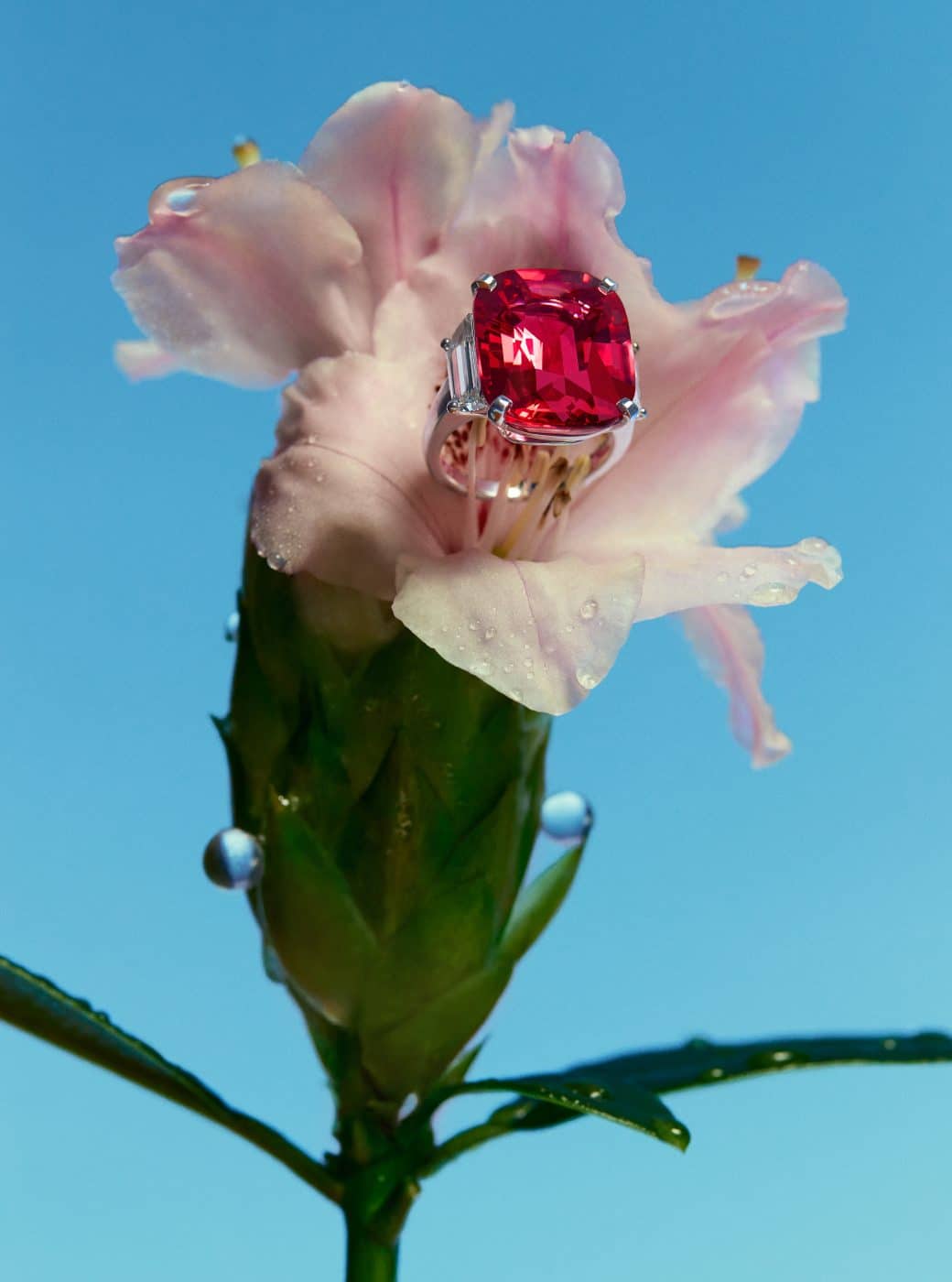 Bulgari tanzanite, diamond and platinum ring sitting in a flower as seen in Rizzoli book Bvlgari Eden: The Garden of Wonders