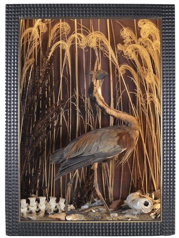 A Tennant New York shadow box with a purple heron with a black cod in its mouth