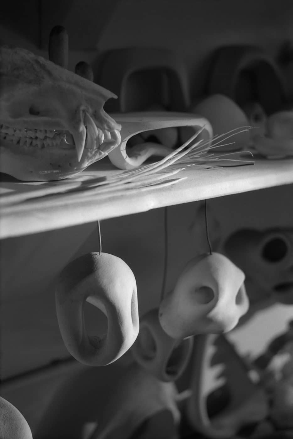 Shelves in Rogan Gregory's workshop holding animal skulls and small sculptures