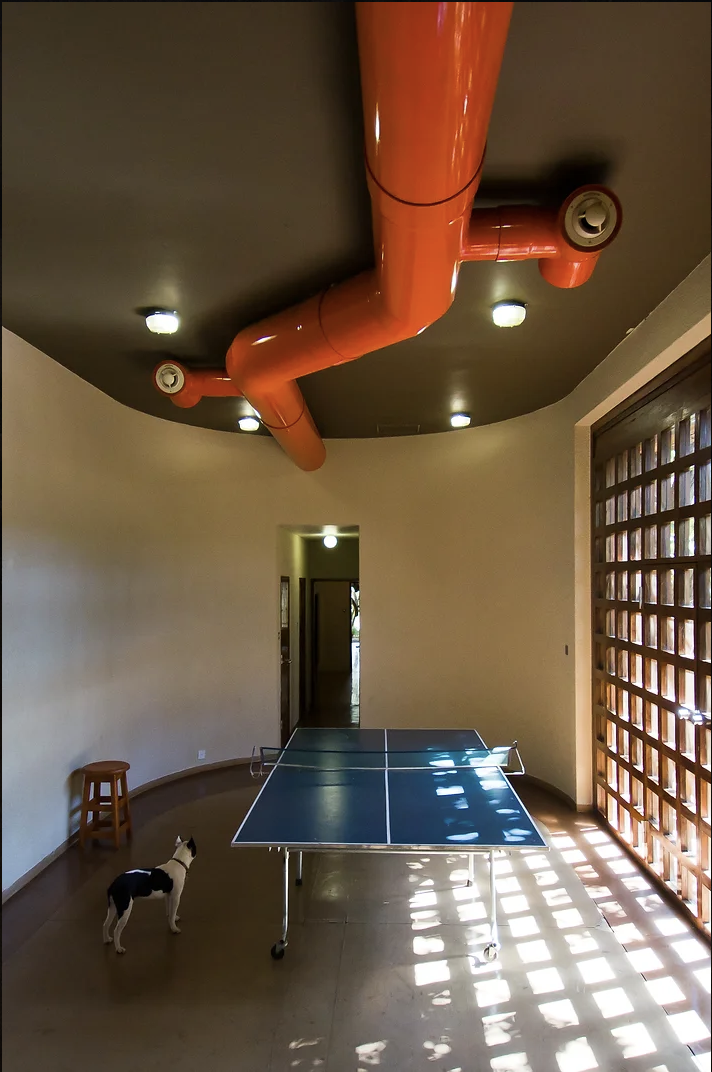 A black-and-white dog next to the blue Ping-Pong table in the oval-shaped rec room at Coromandel House