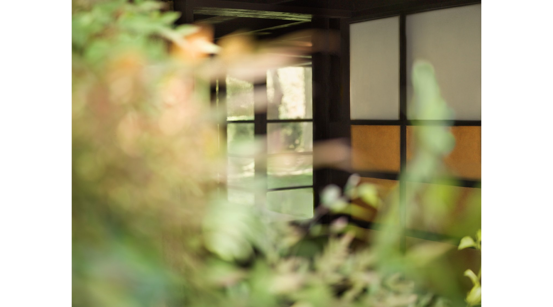 Entrance, 2022, from the series "Kings Road: A Rudolph Schindler House," by Mona Kuhn