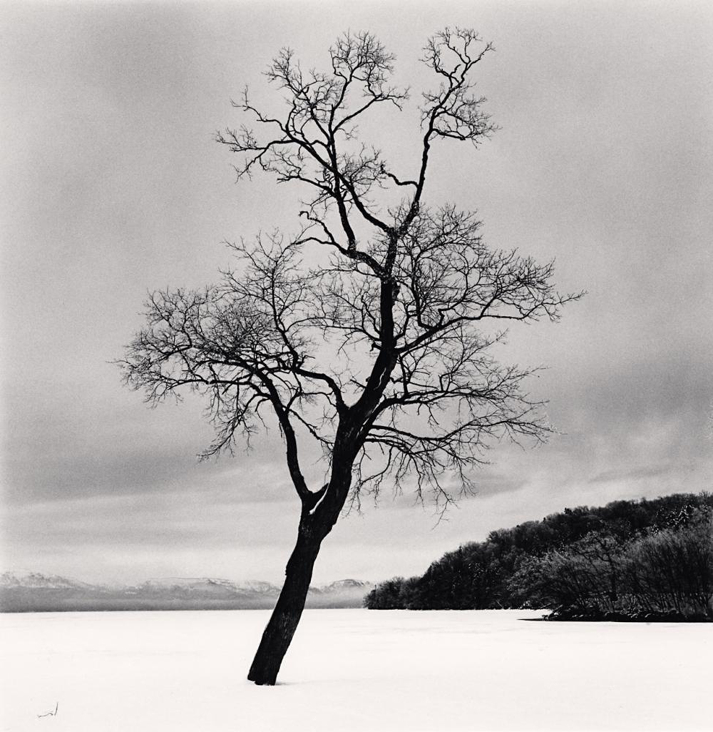 A black-and-white image of a barren tree in a snowy expanse, with a dark growth of trees and bushes, dark clouds and snow-capped mountains in the distance, by British photographer Michael Kenna