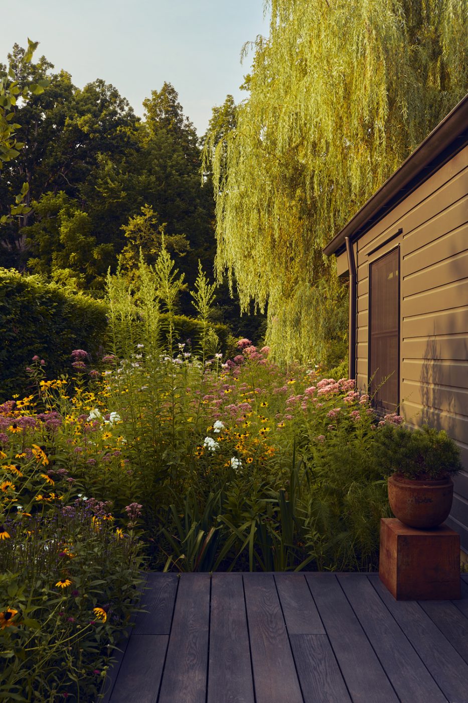 meadow-like Wildflower garden at the black, barn-like Rhinebeck New York home of Matthew and Casey Fisher, whose landscapes were designed by the Brooklyn studio Harrison Green