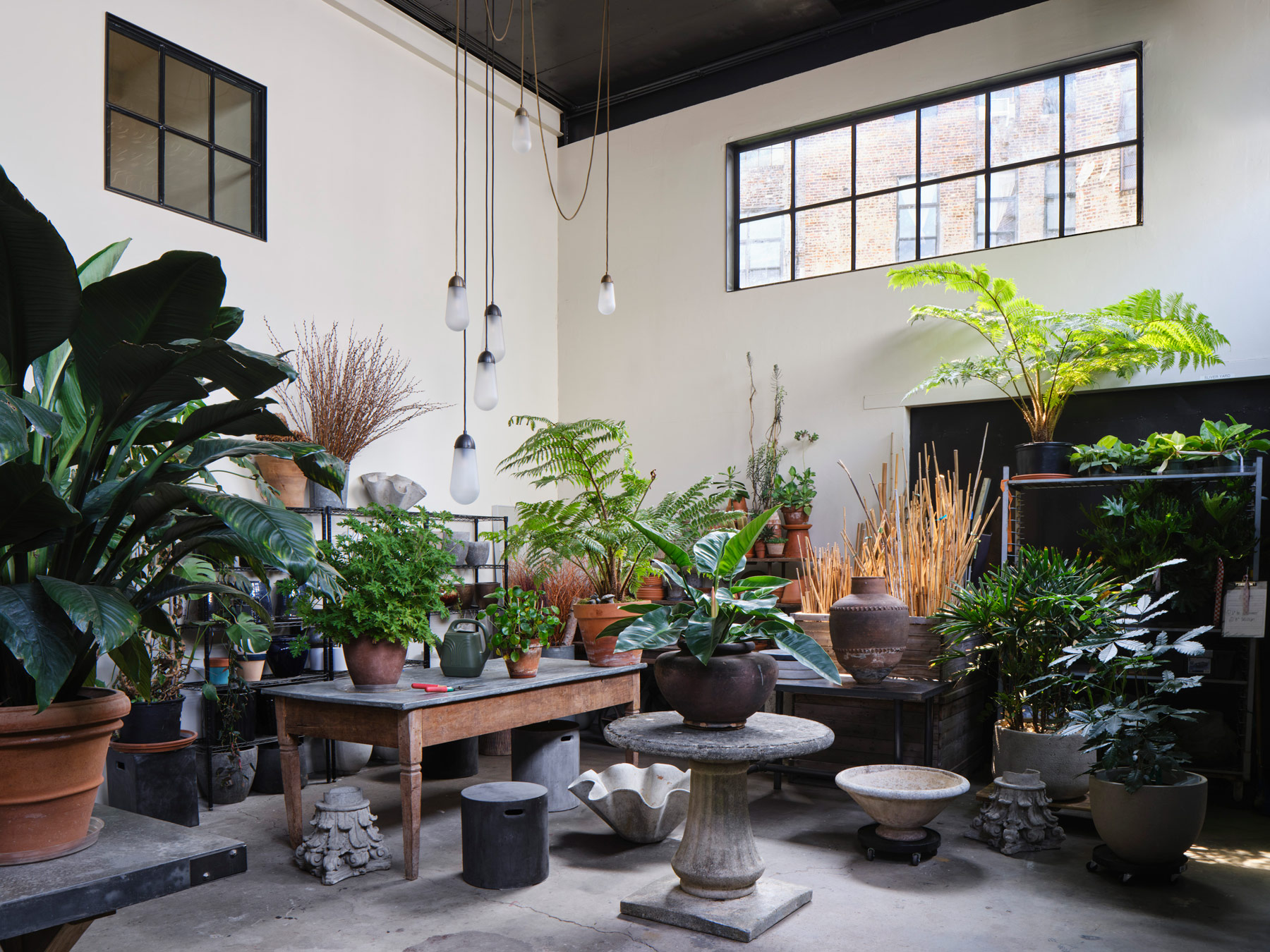 Plant filled windowed workspace in the former factory in Brooklyn NY that is the headquarters of the garden design studio Harrison Green